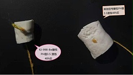 耐酸碱硅胶胶水：KJ-998-8W 酸性浸泡48小时不发生任何变化